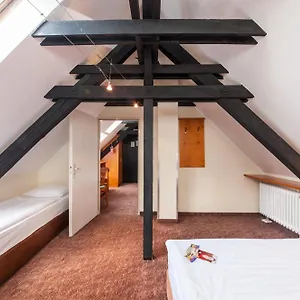 Ahl Meerkatzen Köln